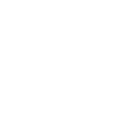 ボディ