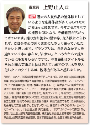 審査員　上野正人 氏
総評　過去の入賞作品の追体験をしているような応募作品が多くみられたのがちょっと残念です。今年からスマホでの撮影もOKとなり、守備範囲が広がってきています。撮り方も従来の型や枠、先入観にとらわれず、ご自分の心の赴くままにたのしく撮っていただきたいと思います。グランプリは、自然のなかで人を迎えていく木の存在を、「出会い」というかたちで捉えている点もおもしろいですね。写真芸術はタイトルを含めた総合芸術だと私は考えていますので、木を擬人化したこのタイトルは、説得力があると感じました。
うえの　まさと／1954年東京都大田区に生まれる。法政大学法学部法律学科卒業、同文学部博物館学芸員課程修了。出版社編集部勤務後、フリーエディターとして企画編集制作、取材、執筆に従事する一方、学芸員として展覧会企画、障がい者が働けるミュージアム、養護学校で写真の授業・指導に携わる。2002年、『第１回秋山庄太郎「花」写真コンテスト』を岳父秋山庄太郎らと企画し、審査や運営に携わってきた。秋山庄太郎没後、秋山庄太郎写真芸術館の設立と運営、各地での秋山庄太郎展や講演、秋山の遺志でもあった写真芸術と社会福祉の支援活動などを行なっている。編著に『科学からのメッセージ／カラーフィルム』、『秋山庄太郎 美の追憶』、『ボタニカルアートの輝き』など多数。秋山庄太郎写真芸術館館長、株式会社秋山庄太郎事務所代表取締役、秋山庄太郎写真芸術協会理事、日本写真協会会員、全日本博物館学会会員。 