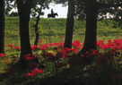「初秋のころ」水口忠男（茨城県）