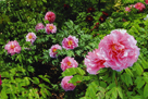 「斜光に照らされて」高畑昌志（千葉県）
