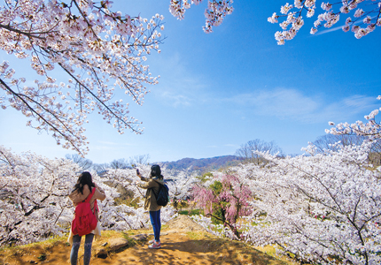 風景・絶景部門グランプリ