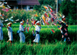 撮影地：島根県