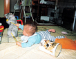 子猫が立った