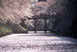 フィナーレ