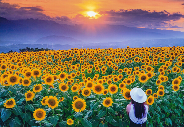 テーマ：夏の風景 作例