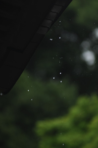 作例1 高速シャッターで雨粒を止める