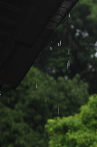 作例2 低速シャッターで雨粒を長くぶらす
