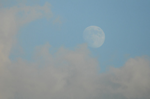 作例5 明るいうちの月