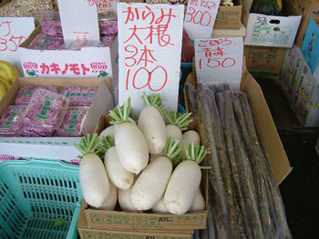 お値打ちの辛味大根
