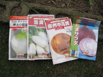 苗作り
