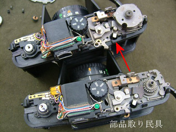移植