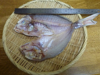 30cm