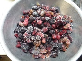 桑の実