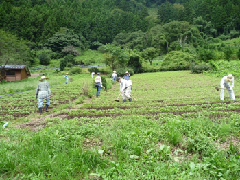 12名