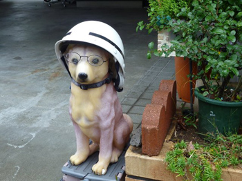 オイラ番犬