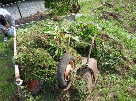 一輪車