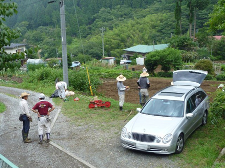 やれやれ