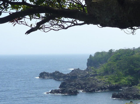 溶岩海岸