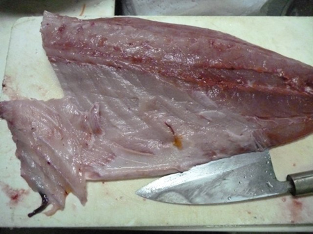 腹骨