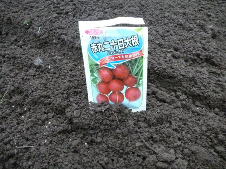 ラディシュ