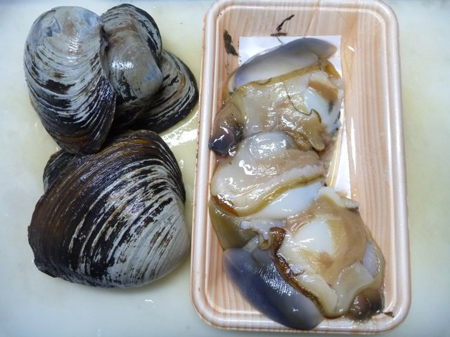 ホッキ貝