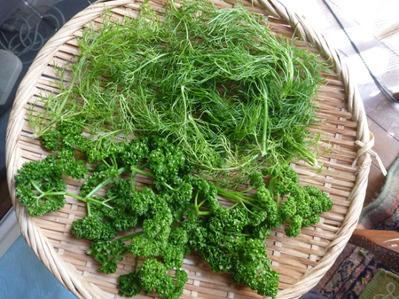 陰干し