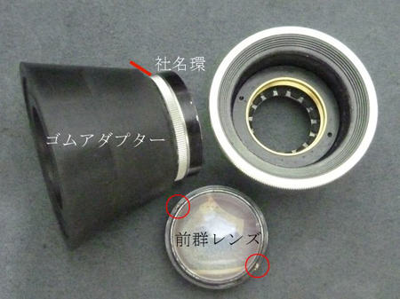 頑