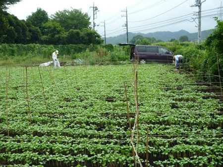 安堵感と疲労