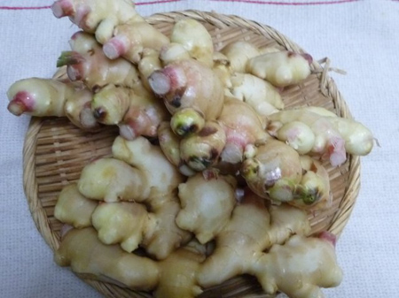 新生姜砂糖煮