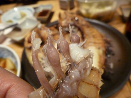 天然の証し骨折鯛