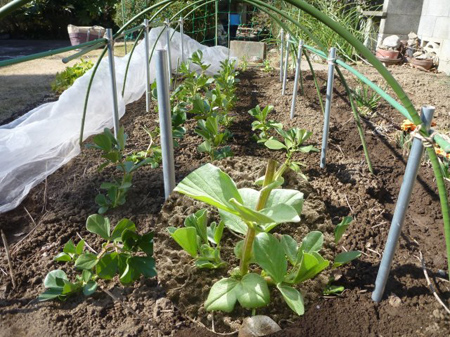 春を味わう