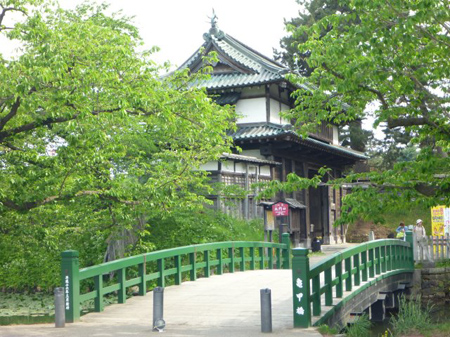 青森階上蕎麦打ち合宿