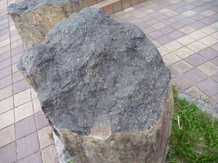 青森階上蕎麦打ち合宿