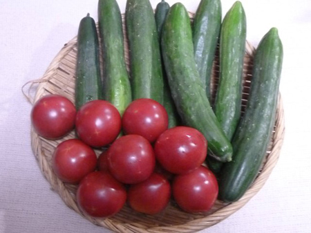檜原村蕎麦畑(除草)