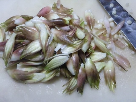 夏野菜茗荷