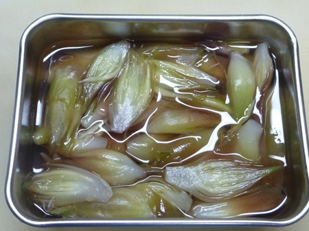 夏野菜茗荷