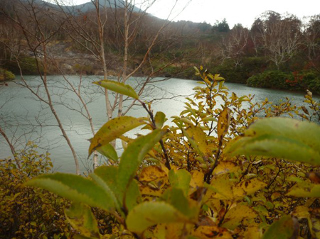 酸ヶ湯地獄沼