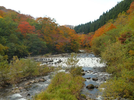 紅葉の奥入瀬