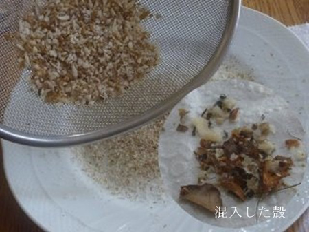 渡良瀬産鬼胡桃
