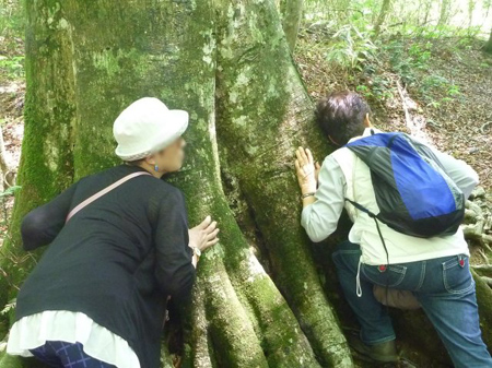 青森県十二湖