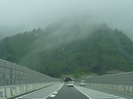 萌芽しない理由