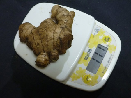 新生姜の佃煮