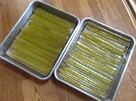 蕗とチョコ珈琲