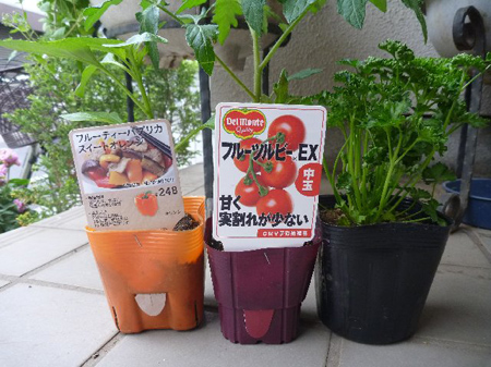 根小屋での手伝い