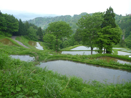 棚田巡り