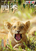 �t�H�g���C�t�l�G Vol.62