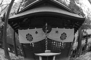 魚眼5