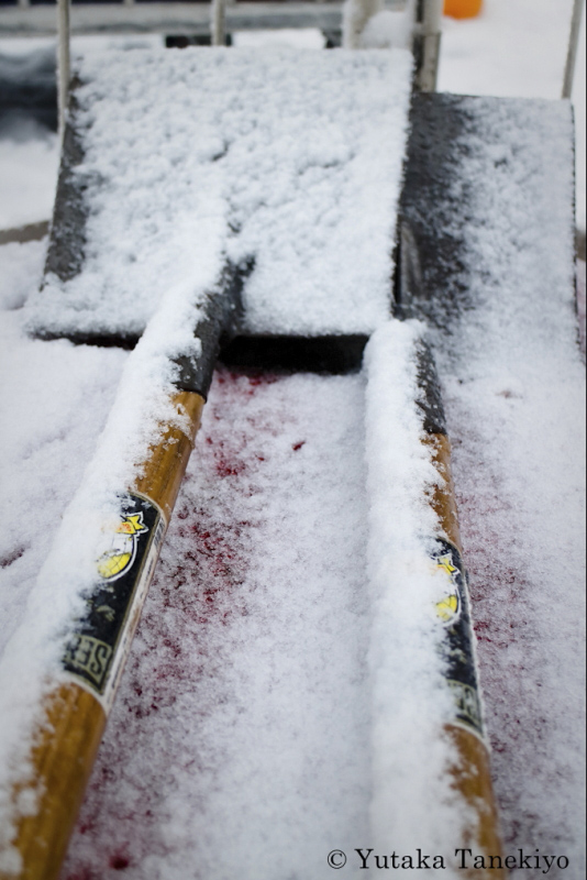 雪スナップ