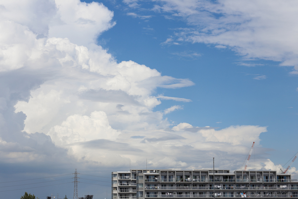 入道雲