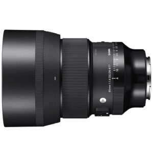 85mm F1.4 DG DN | Art